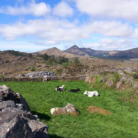 Cuckoo Tree House Beara Peninsula Vakantiehuis