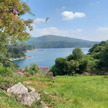 Vakantiehuis Cuckoo Tree House Beara Peninsula