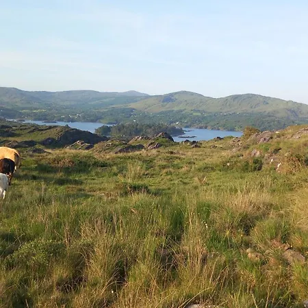 Cuckoo Tree House Beara Peninsula Vakantiehuis